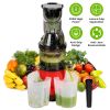 Cold Press Juicer Machine 300W Electric Slow Masticating Juicer for Whole Vegetable and Fruit with Reverse Function 2 Containers Cleaning Brush Clear