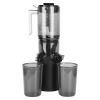 Cold Press Juicer Machine With 3.93In Feed Chute Fit Whole Fruits Vegetable 250W Slow Masticating Juicer With Reverse Function 2 Containers Easy To Cl